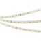 Светодиодная лента RT-A140-10mm 24V White-MIX (19.2 W/m, IP20, 2835, 5m) (Arlight, Изменяемая ЦТ) 024508(2) - фото 89403