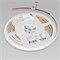 Лента герметичная RTW-PW-A160-8mm 24V Warm3000 (10 W/m, IP66, 2835, 5m) (Arlight, Матовая) 041113 - фото 89669