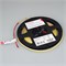 Лента COB-X600-5mm 24V White-CDW (7.5 W/m, IP20, 5m) (Arlight, -) 037686 - фото 89699