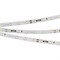 Лента RT-10000 24V White6000 (3528, 60 LED/m, 10m) (Arlight, 4.8 Вт/м, IP20) 024987 - фото 89815
