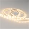Лента RTW 2-5000SE 12V Warm (3528, 300 LED, LUX) (Arlight, 4.8 Вт/м, IP65) 014795 - фото 90077