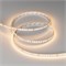Светодиодная лента RT-A160-8mm 24V Warm3000 (12 W/m, IP20, 2835, 50m) (Arlight, высок.эфф.150 лм/Вт) 024553(2) - фото 90174