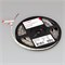 Светодиодная лента RT-B60-10mm 24V Day4000 (14.4 W/m, IP20, 5060, 5m) (Arlight, Открытый) 011571(2) - фото 90225