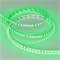 Лента RT-A120-8mm 24V Green (9.6 W/m, IP20, 3528, 5m) (Arlight, Открытый) 008782(B) - фото 90275