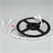 Лента SPI-5000P-5060-60 12V Cx3 RGB (12mm, 14.4W/m, IP66) (Arlight, Закрытый, IP66) 026365(2) - фото 90282