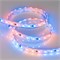 Лента SPI-5000P-5060-60 12V Cx3 RGB (12mm, 14.4W/m, IP66) (Arlight, Закрытый, IP66) 026365(2) - фото 90283