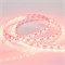 Лента RT 2-5000 12V Red 2x (5060, 300 LED, LUX) (Arlight, 14.4 Вт/м, IP20) 012343 - фото 90306