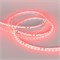 Лента RT-A120-5mm 24V Red (9.6 W/m, IP20, 2835, 5m) (Arlight, 9.6 Вт/м, IP20) 015657(2) - фото 90505
