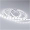 Лента RTW 2-5000SE 12V White (3528, 300 LED, LUX) (Arlight, 4.8 Вт/м, IP65) 014627-1 - фото 90537