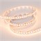 Лента MICROLED-5000 24V Warm3000 8mm (2216, 300 LED/m, LUX) (Arlight, 8 Вт/м, IP20) 023559 - фото 90573