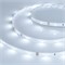 Лента RT 2-5000 24V Cool 8K 0.5x (3528, 150 LED, LUX) (Arlight, 2.9 Вт/м, IP20) 019916(1) - фото 90836