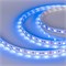 Лента RT 2-5000 12V Blue 2x (5060, 300 LED, LUX) (Arlight, 14.4 Вт/м, IP20) 012336-1 - фото 91142