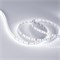Лента MICROLED-5000HP 24V White5500 8mm (2216, 120 LED/m, LUX) (Arlight, 14 Вт/м, IP20) 024426 - фото 91389
