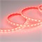 Лента RTW 2-5000PGS 12V Red 2x (5060, 300 LED, LUX) (Arlight, 14.4 Вт/м, IP67) 015134-1 - фото 91433