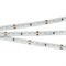 Лента RS 2-5000 24V Day5000 2x (3014, 120 LED/m, LUX) (Arlight, 9.6 Вт/м, IP20) 024458 - фото 91473