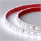 Лента RTW 2-5000PGS 12V Cool 2x (5060, 300 LED, LUX) (Arlight, 14.4 Вт/м, IP67) 016844-1 - фото 91570