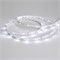 Лента RT 2-5000 24V White6000 0.5x (3528, 150 LED, LUX) (Arlight, 2.9 Вт/м, IP20) 019917(B) - фото 91991