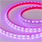 Лента RTW 2-5000PS 24V RGB 2x (5060, 300 LED, LUX) (arlight, 14.4 Вт/м, IP67) 021400(2) - фото 92031