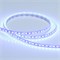 Лента RT 2-5000 12V Blue 2x (3528, 600 LED, LUX) (Arlight, 9.6 Вт/м, IP20) 012330(1) - фото 92275