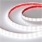 Лента RTW 2-5000PW 12V White6000 2x (5060, 300 LED, LUX) (Arlight, 14.4 Вт/м, IP66) 016169-1 - фото 92427