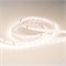 Лента IC 2-30000 24V Warm2700 10mm (2835, 60 LED/m, LUX) (Arlight, 4.6 Вт/м, IP20) 027034 - фото 92552