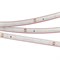 Лента RTW 2-5000PS-50m 24V White6000 (3528, 60 LED/m, LUX) (Arlight, 4.8 Вт/м, IP67) 024562 - фото 92570
