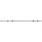 Лента RTW 2-5000PS-50m 24V White6000 (3528, 60 LED/m, LUX) (Arlight, 4.8 Вт/м, IP67) 024562 - фото 92572