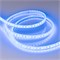 Лента RTW-5000PU-2835-120 12V Blue (10.5mm, 14.4W, IP68) (Arlight, Закрытый) 032078 - фото 92696