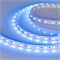 Лента RT 2-5000 24V Blue 2x (5060, 300 LED, LUX) (Arlight, 14.4 Вт/м, IP20) 008819(1)