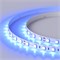 Лента RT 2-5000 24V Blue 2x (5060, 300 LED, LUX) (Arlight, 14.4 Вт/м, IP20) 008819(1)