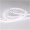 Лента IC 2-30000 24V White6000 10mm (2835, 60 LED/m, LUX) (Arlight, 4.6 Вт/м, IP20) 027030 - фото 92990