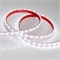 Лента RTW 2-5000PS 24V White6000 2x (5060, 300 LED, LUX) (Arlight, 14.4 Вт/м, IP67) 021399 - фото 93033