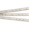 Лента RTW 2-5000PS 24V White6000 2x (5060, 300 LED, LUX) (Arlight, 14.4 Вт/м, IP67) 021399 - фото 93034