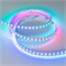 Лента SPI-B96-10mm 12V RGB-PX1-BPT (13 W/m, IP20, 5060, 5m) (Arlight, Открытый) 037868 - фото 93078