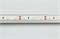 Лента RT 2-5000 12V Warm2700 (3528, 300 LED, CRI98) (Arlight, 4.8 Вт/м, IP20) 021420(1) - фото 93212