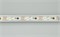 Лента SPI-5000P-AM 12V Day4000 (5060, 60 LED/m, x3) (Arlight, Закрытый, IP66) 027166 - фото 93250