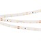 Лента RT 2-5000 24V Warm2400 (3528, 300 LED, LUX) (Arlight, 4.8 Вт/м, IP20) 028520 - фото 93256
