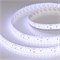 Лента RTW 2-5000SE 24V Cool 2x2 (3528, 1200 LED, LUX) (Arlight, 19.2 Вт/м, IP65) 014722 - фото 93676
