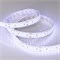 Лента RTW 2-5000SE 24V Cool 2x2 (3528, 1200 LED, LUX) (Arlight, 19.2 Вт/м, IP65) 014722 - фото 93680