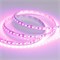 Лента RT 2-5000 12V Pink 2X (3528, 600 LED, LUX) (Arlight, 9.6 Вт/м, IP20) 015897 - фото 94063