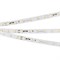 Лента RT-20000 24V White5500 (3528, 60 LED/m, 20m) (Arlight, 4.8 Вт/м, IP20) 025010 - фото 94129