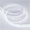 Лента RT 2-5000 24V White6000 1.6x (2835, 490 LED, PRO) (Arlight, 10 Вт/м, IP20) 019913 - фото 94181
