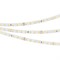 Лента RT 2-5000 24V White6000 1.6x (2835, 490 LED, PRO) (Arlight, 10 Вт/м, IP20) 019913 - фото 94182