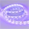 Лента RT 2-5000 12V UV400 2x (5050, 300 LED, LUX) (Arlight, 14.4 Вт/м, IP20) 012815 - фото 94192