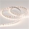 Лента RT 2-5000-50m 24V Warm3000 (2835, 80 LED/m, LUX) (Arlight, 6 Вт/м, IP20) 024525(1)