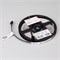 Лента RT-A120-8mm 24V RGB (12 W/m, IP20, 2835, 5m) (Arlight, 5 лет) 042905 - фото 94816