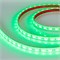 Лента RTW 2-5000PGS 12V Green 2x (5060, 300 LED, LUX) (Arlight, 14.4 Вт/м, IP67) 015128-1 - фото 95134