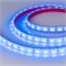 Лента герметичная RTW-PFS-B60-13mm 24V Blue (14.4 W/m, IP68, 5060, 5m) (Arlight, 14.4 Вт/м, IP68) 036171 - фото 95160