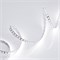 Лента RT 2-5000 24V White6000 2x (3528, 600 LED, LUX) (Arlight, 9.6 Вт/м, IP20) 010347(B) - фото 95289