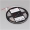 Лента герметичная RTW-SE-A60-8mm 12V Cool 10K (4.8 W/m, IP65, 2835, 5m) (Arlight, 4.8 Вт/м, IP65) 016836(2) - фото 95294